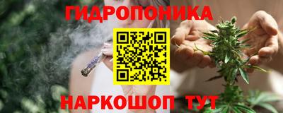 mdpv Славгород