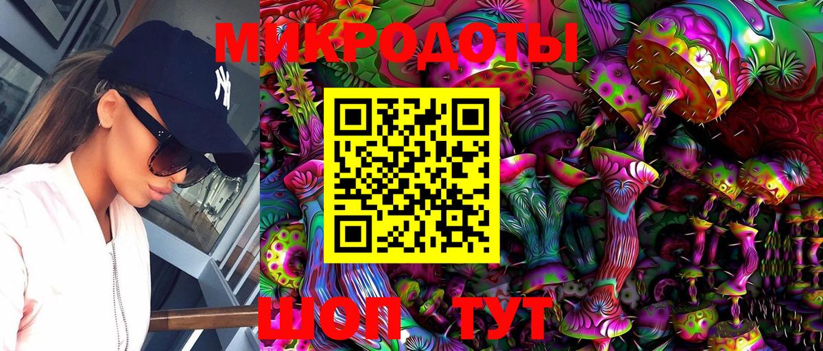 Галлюциногенные грибы Psilocybine cubensis Осинники