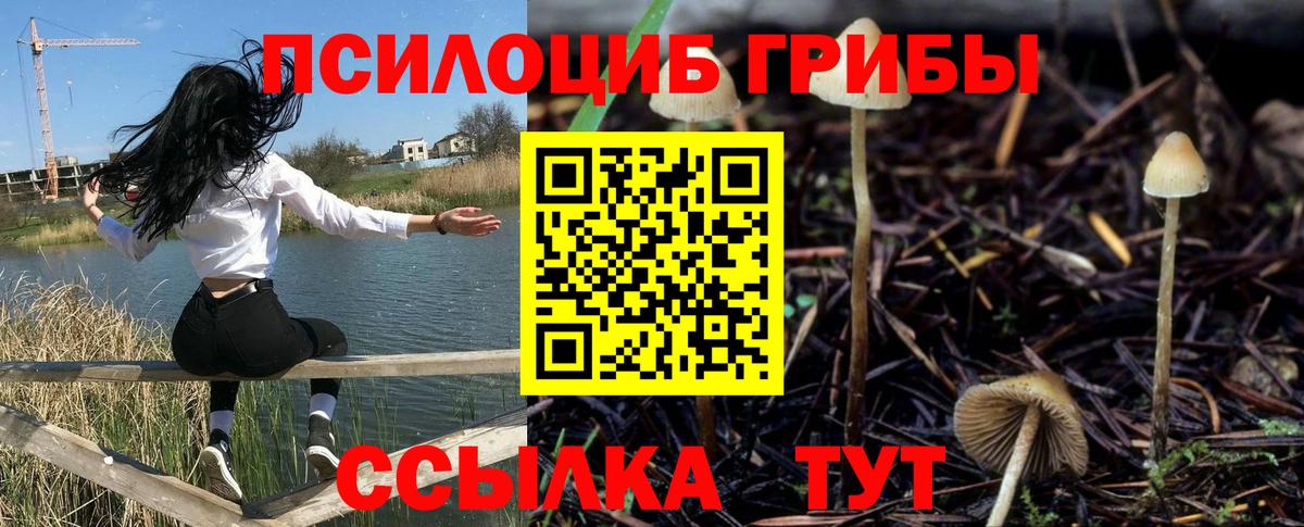 купить   Вход с VPN  Осинники  Псилоцибиновые грибы ЛСД 